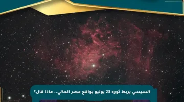 السيسي يربط ثورة 23 يوليو بواقع مصر الحالي.. ماذا قال؟